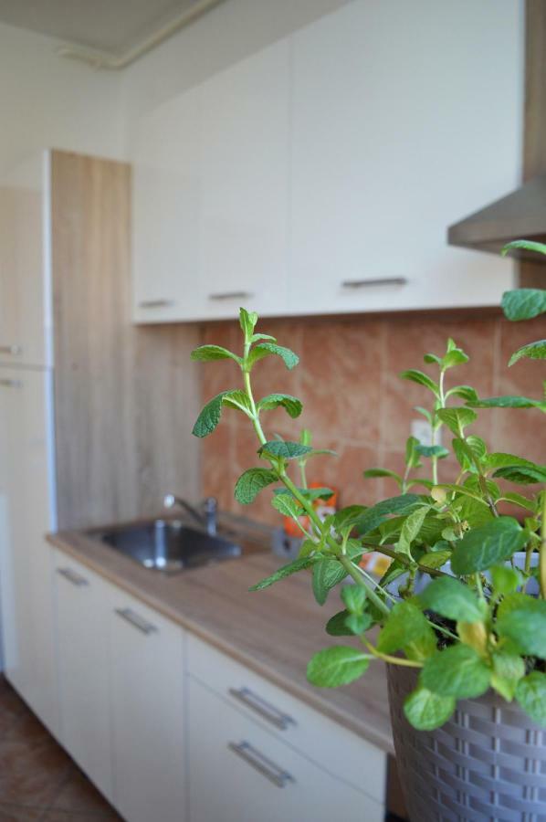 Apartment Marlena Zágráb Kültér fotó